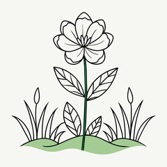 One line drawing Field flower isolated on