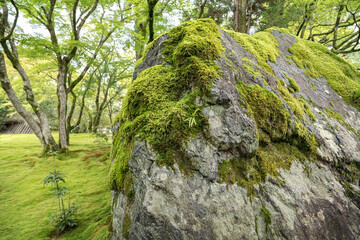 Huge rock with moss in Japanese garden.
Big boulder in foreground in a Zen garden.
