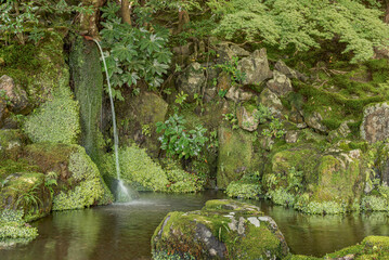Waterfall in a deep forest of Japan.
Small waterfall inside a garden.
