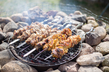 BBQ grilled pork and chicken, shashlik, kebab.