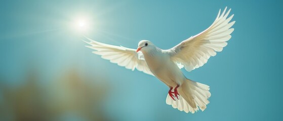 An angelic white dove flies in the sky, bright light beams down from heaven