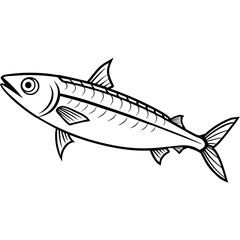 fish on a white background