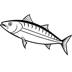 fish isolated on white background