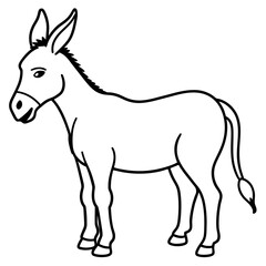 donkey isolated on white