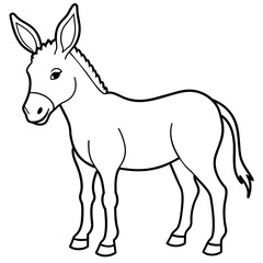 Obraz premium donkey isolated on white
