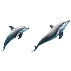 Fototapeta premium dolphin isolated on white background