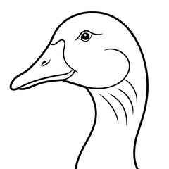 illustration of a duck