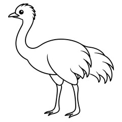 ostrich cartoon isolated on white