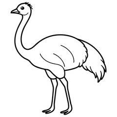 ostrich cartoon isolated on white