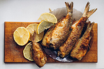 Цветок, Бутон, Бутон, Цветение, Садоводство, Декоративные, Сад, Природа, Лепестки, Бутоны, Розовый, Белый, Цветок, Пышные, Лето, Природные, Цветение, Цветение, Цветение, Розовый, Цветок, Цветок, Бутон