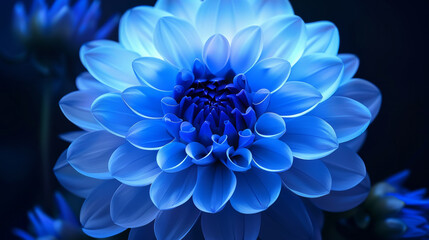 A blue flower with a white center. The flower is surrounded by other flowers. The blue color of the flower is very bright and stands out
