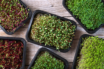 Mix of Microgreens in container