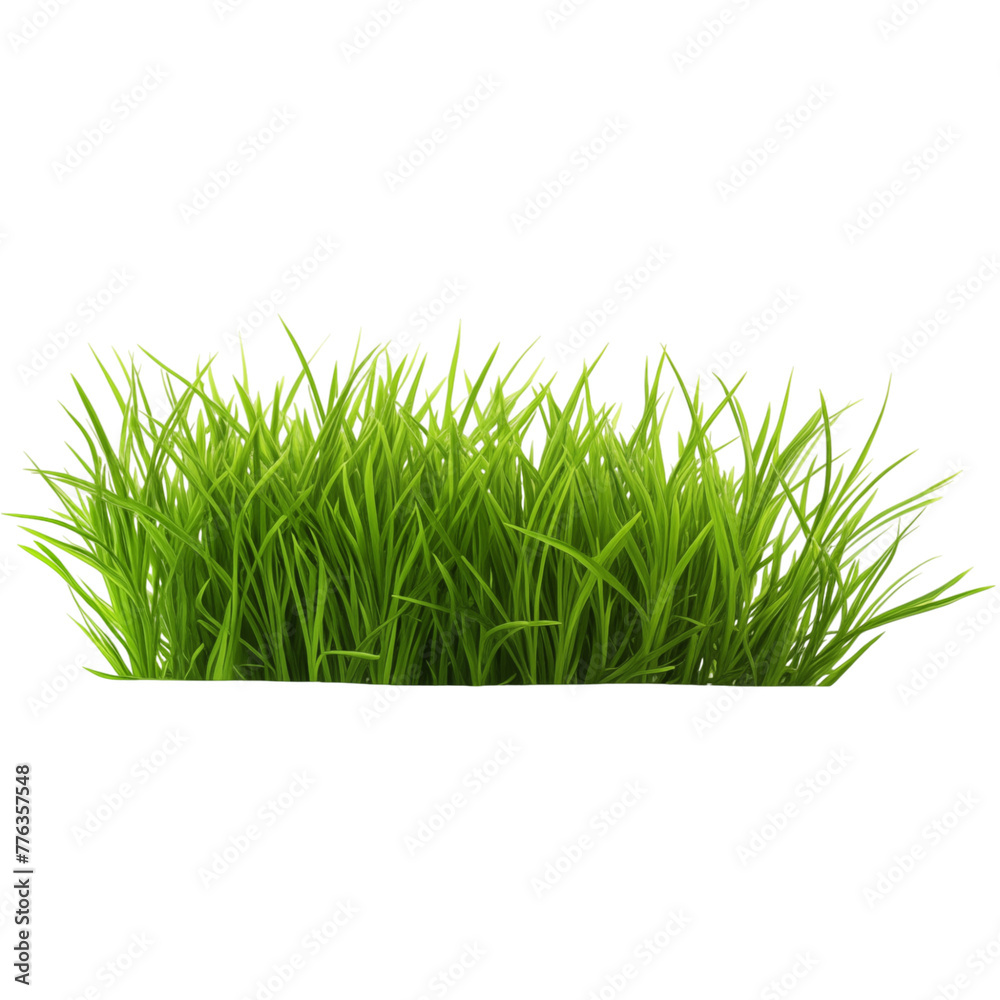 Wall mural Green grass isolated on transparent background