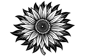 sunflower silhouette vector art illustration