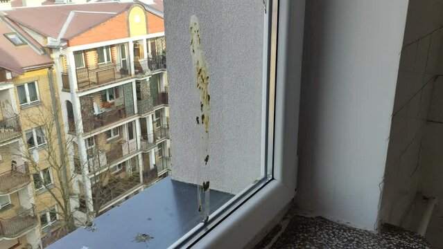 Bird droppings on the window. The bird craps heavily on the window