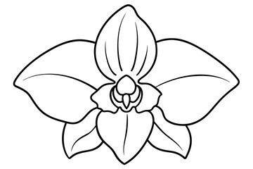  orchid  silhouette vector art illustration