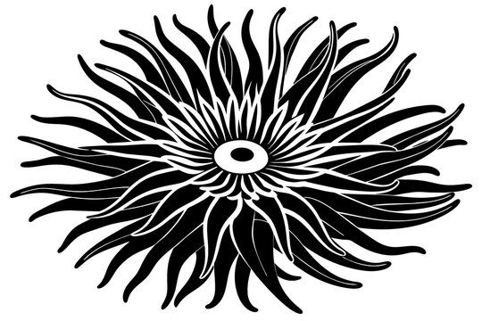 recommend clip art: anemone silhouette vector illustration