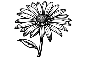Fotobehang daisy silhouette vector art illustration © Merry