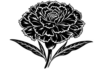 carnation flower silhouette vector illustration
