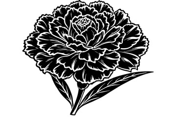 carnation flower silhouette vector illustration