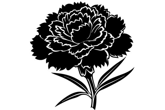 black carnation flower silhouette on white background clip art preview