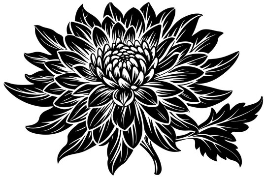 black and white chrysanthemum flower design clip art preview