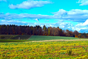 Herbststimmung im  Neckar-Odenwald-Kreis in Baden-Württemberg 