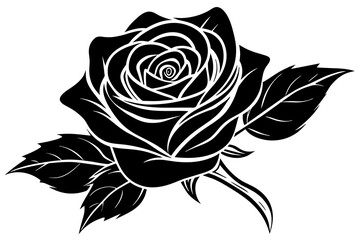 rose flowers vector illustration