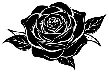 rose flowers vector illustration
