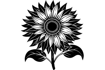 sunflower vector illustration