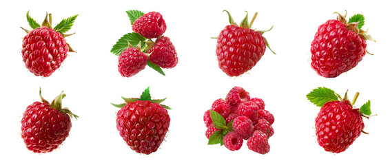 Vibrant raspberries in close-up, a delicious and nutritious berry delight cut out on transparent...
