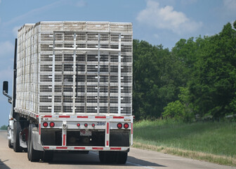 Poultry Cages Loaded on A Truck on Highway