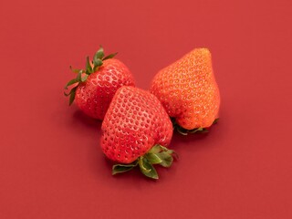 strawberries on a red background