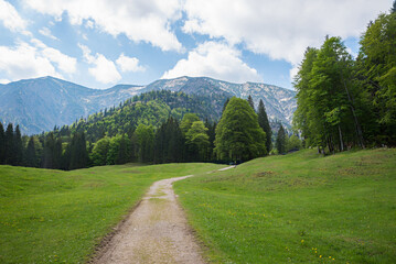 Fototapeta na wymiar hiking route from Kreuth to Blauberge mountains, spring landscape upper bavaria