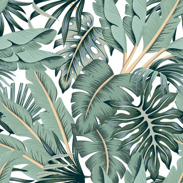 Tropical vintage palm leaves, banana leaves floral seamless pattern white background. Exotic jungle wallpaper.