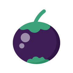 Illustration of fresh fruit on a white background. illustration of mangosteen fruit