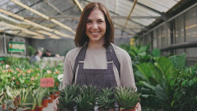 Portrait of a beautiful young woman in a greenhouse. A woman holds a pallet of succulents in her hands, with many beautiful green plants in the background