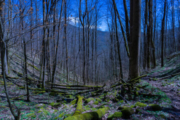 Backcountry Campsite