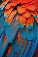 Fototapeta premium Extreme close-up of bird feathers, orange and gray hues in exquisite detail 🧡🕊️✨ Nature's beauty up close and personal! #FeatherDetail