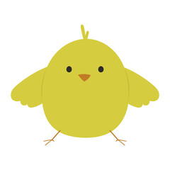 Chick animal illustration