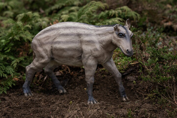 Obraz premium A figurine of the ancestor of the prehistoric horse.