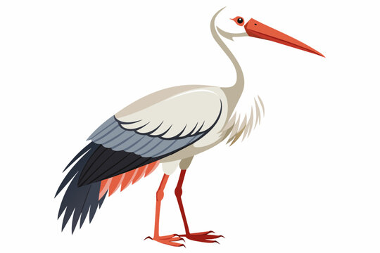 white stork bird with red beak and legs clip art preview