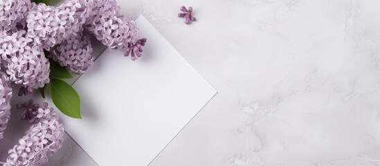 Purple flowers and an empty greeting card placed on a clean white tabletop surface