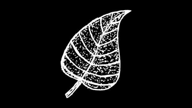 White wiggly hand drawn plant leaf doodle overlay animation