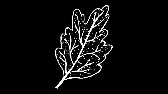 White wiggly hand drawn plant leaf doodle overlay animation 3
