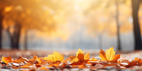 Naklejka na ściany i meble Autumn background with yellow leaves on bokeh defocused lights