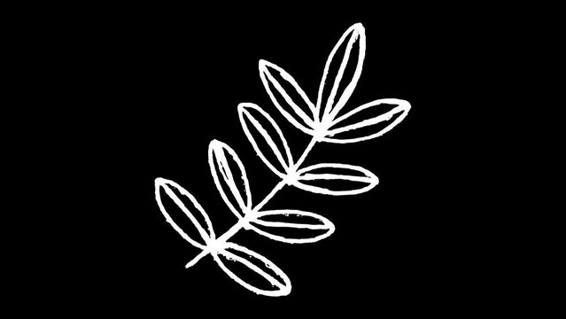 White wiggly hand drawn plant leaf doodle overlay animation 5