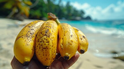 Bunch of ripe bananas on the beach. Selective focus