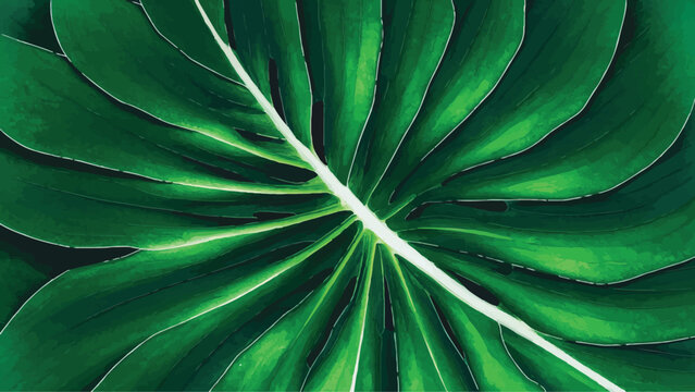 Vector Illustration: Monstera Leaf in Flat Design Style