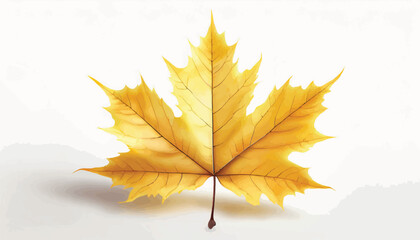 Golden Autumn Maple Leaf A Singular Illustration Against a White Background